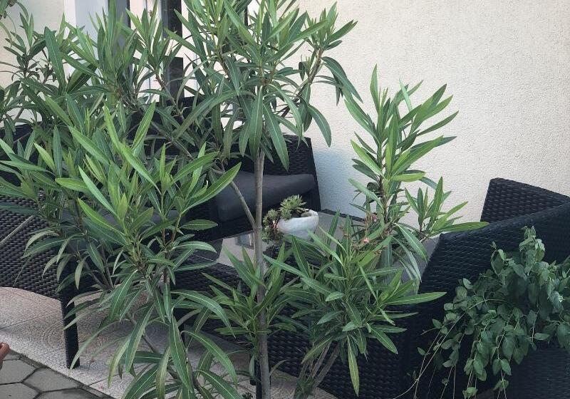 膳宿费 House Magdic Plitvice