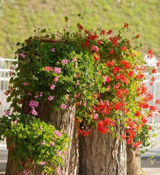 דירת נופש La Casa Al Noce