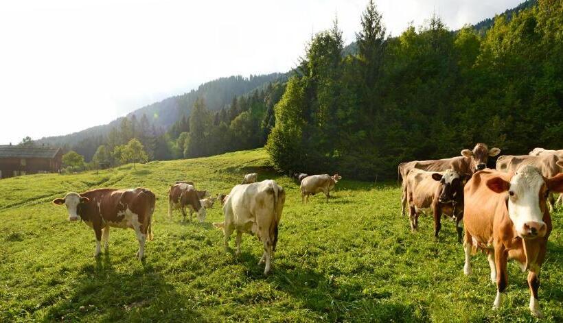 דירת נופש La Casa Al Noce