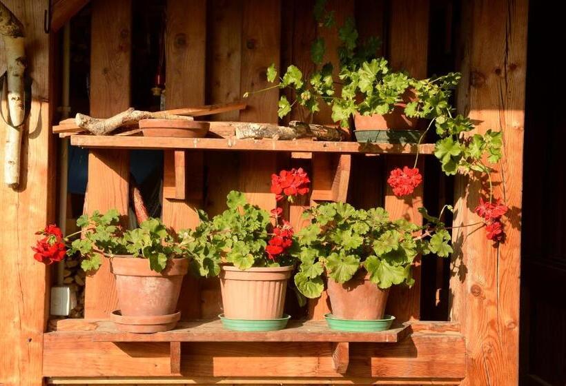 דירת נופש La Casa Al Noce