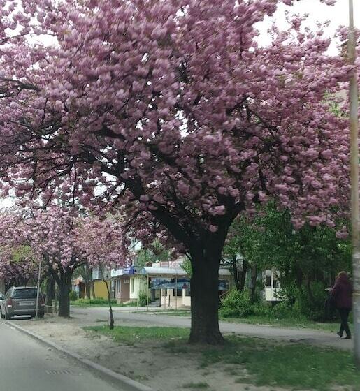 Ostello White Coral Club