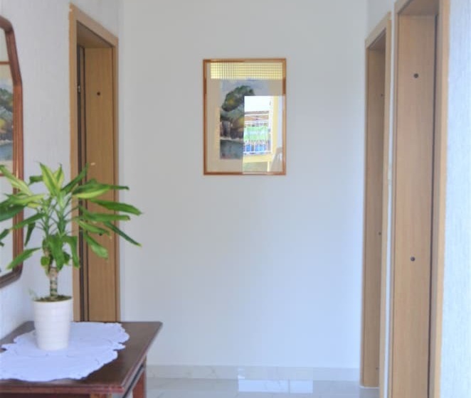 Apartments Lounger Frkovic