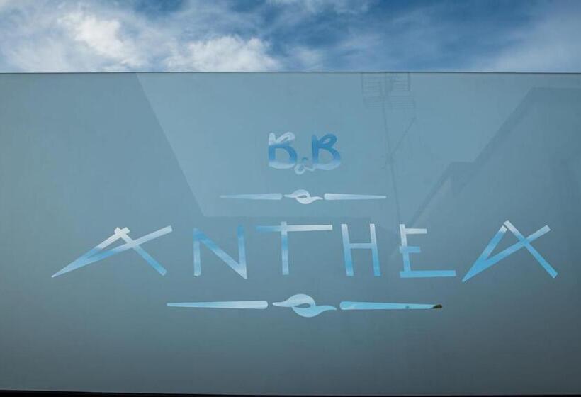 B&b Anthea