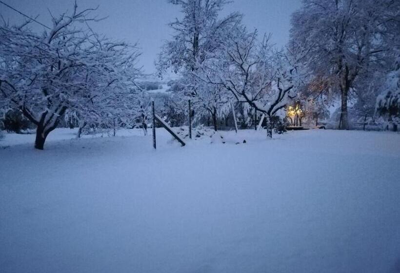 צימר Sotto L'ulivo