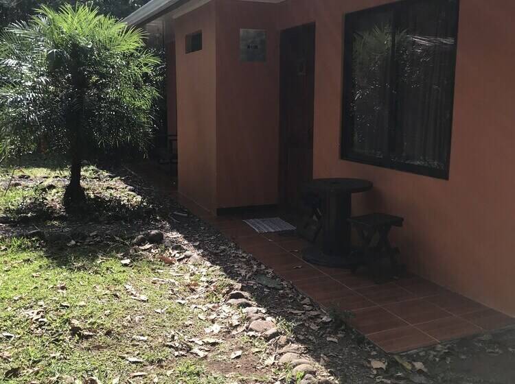 Blue Morpho   Hostel