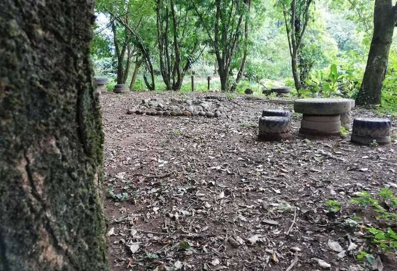 Blue Morpho   Hostel