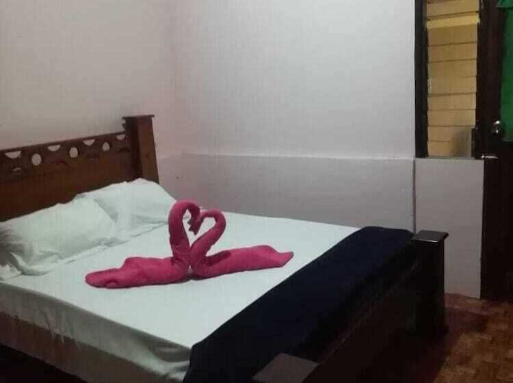 Blue Morpho   Hostel