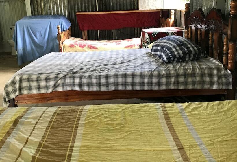 Blue Morpho   Hostel