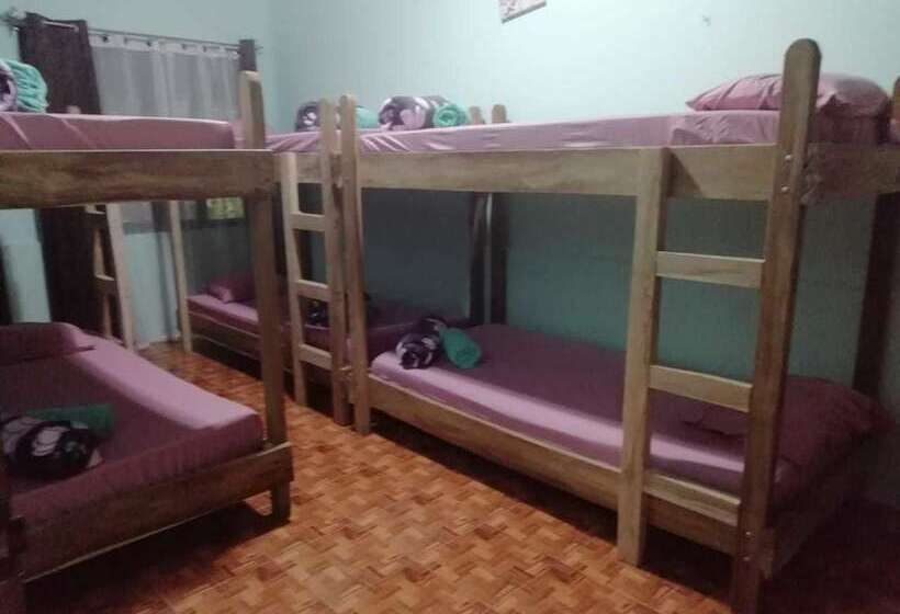 Blue Morpho   Hostel