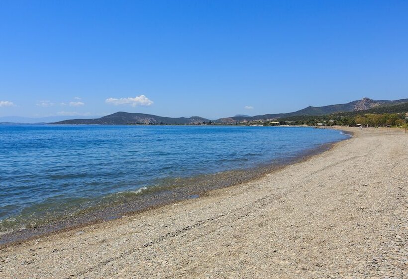 בית מלון כפרי 180 South Seaside