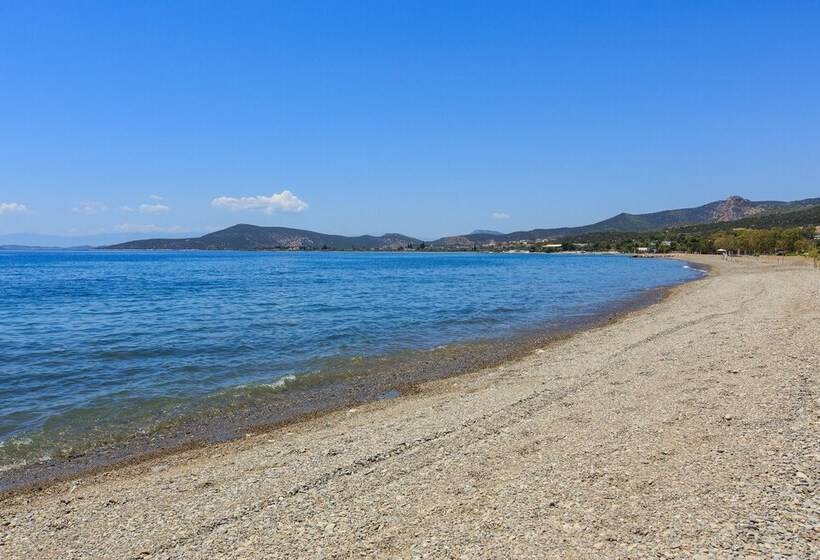 בית מלון כפרי 180 South Seaside