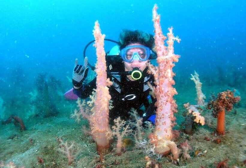 בית מלון כפרי Bentrina Diving Resort