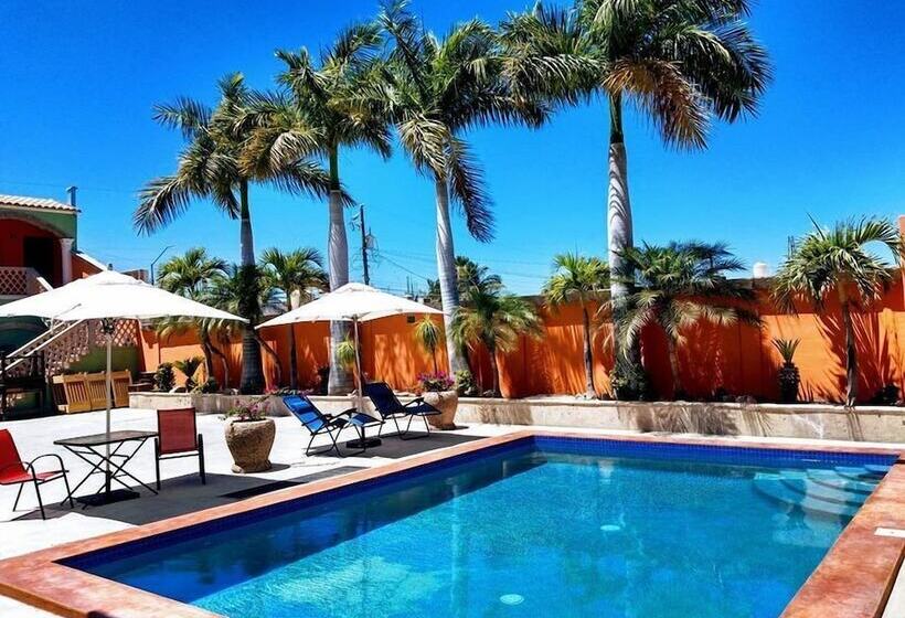 فندق Cactus Inn Los Cabos