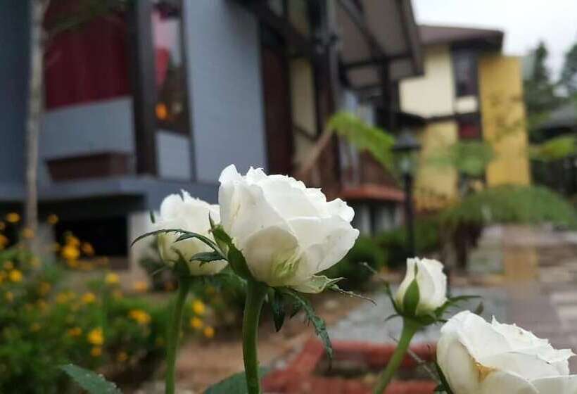 فندق Casa Loma Cameron Highlands