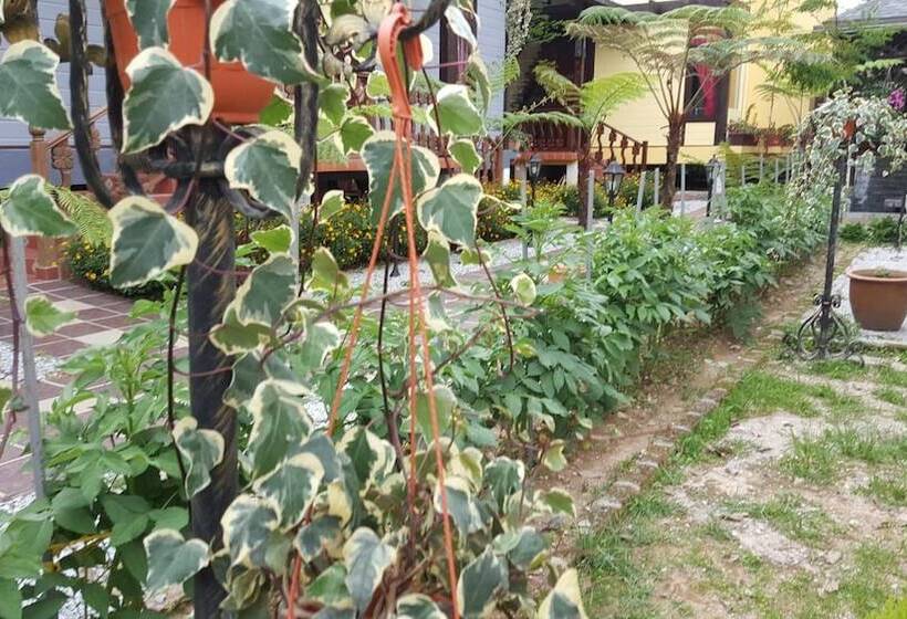 فندق Casa Loma Cameron Highlands