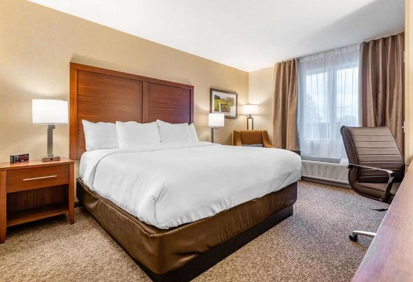 Отель Comfort Inn & Suites