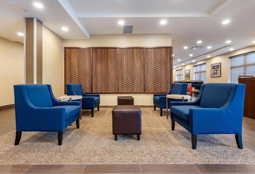 Отель Comfort Inn & Suites