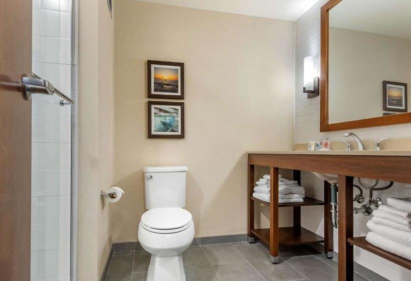 Отель Comfort Inn & Suites