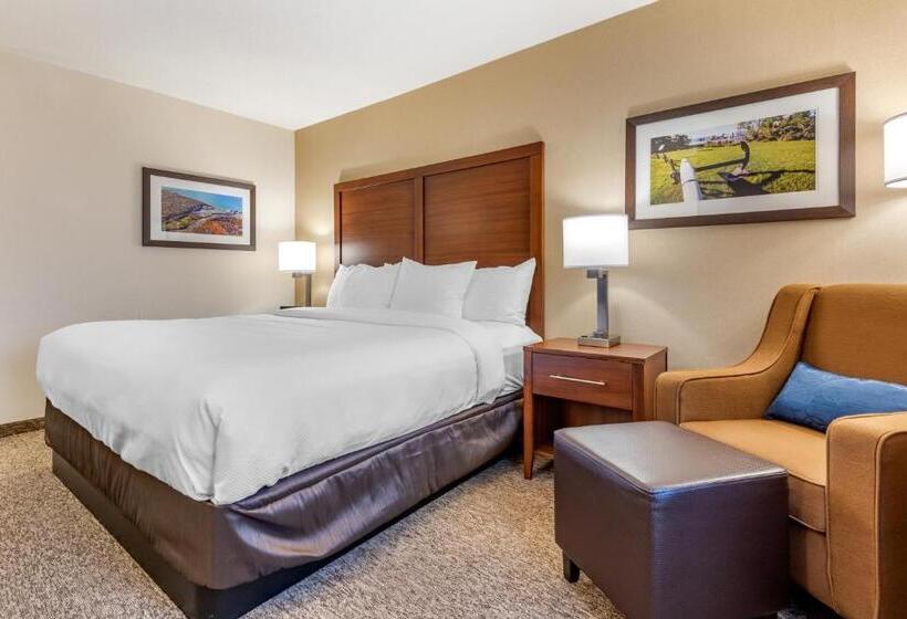 Отель Comfort Inn & Suites