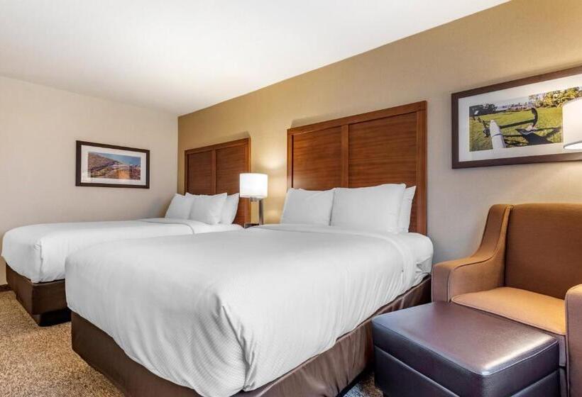 Отель Comfort Inn & Suites