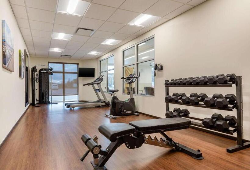 Отель Comfort Inn & Suites
