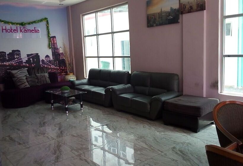 בית מלון כפרי Kamelia