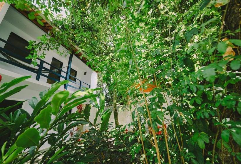 هتل Odoyá Hostel