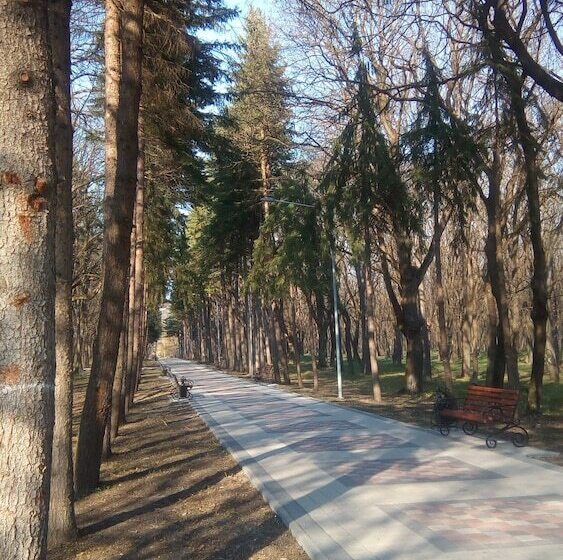 فندق Park & House