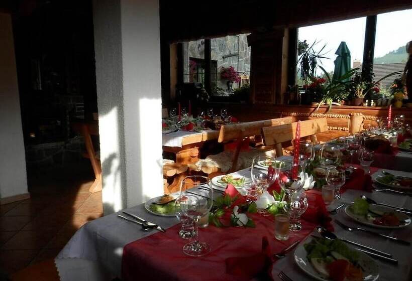 호텔 Penzion Slovakia