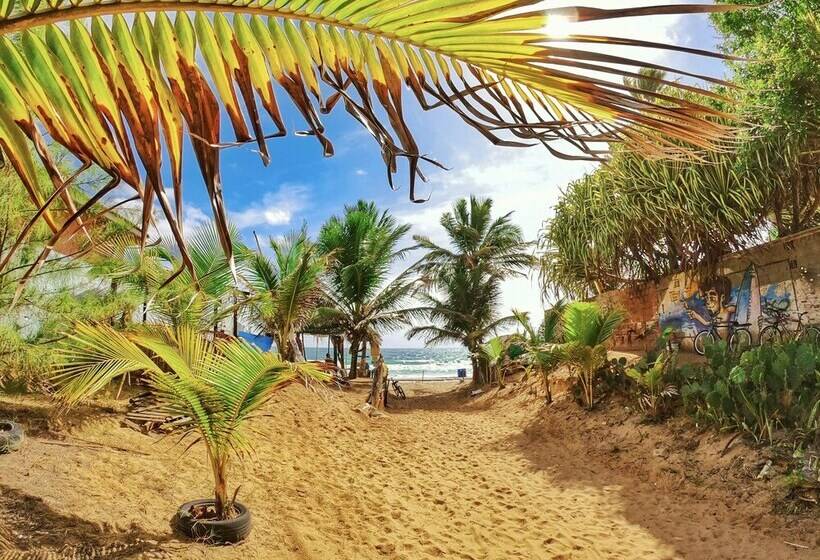 ホテル Pousada Sereia Do Porto