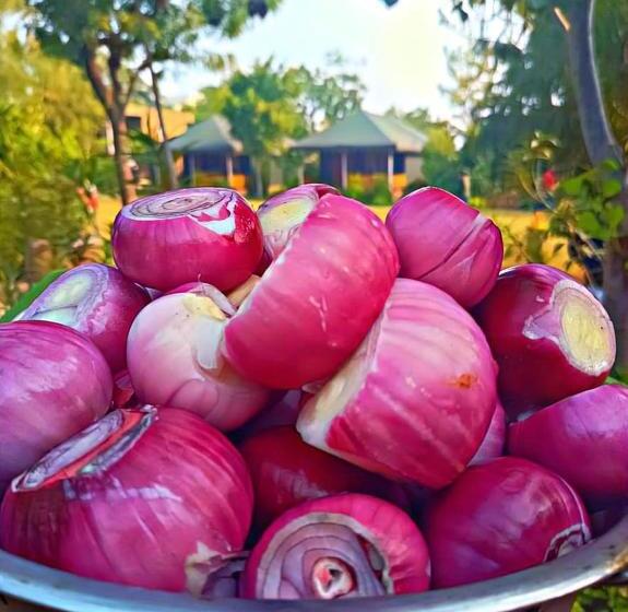 هتل Pushkar Vela Resort