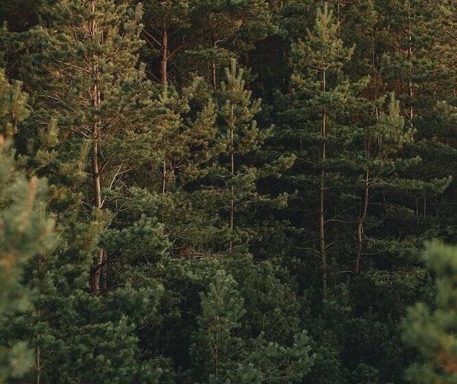 Отель Saltic Resort & Spa Grzybowo