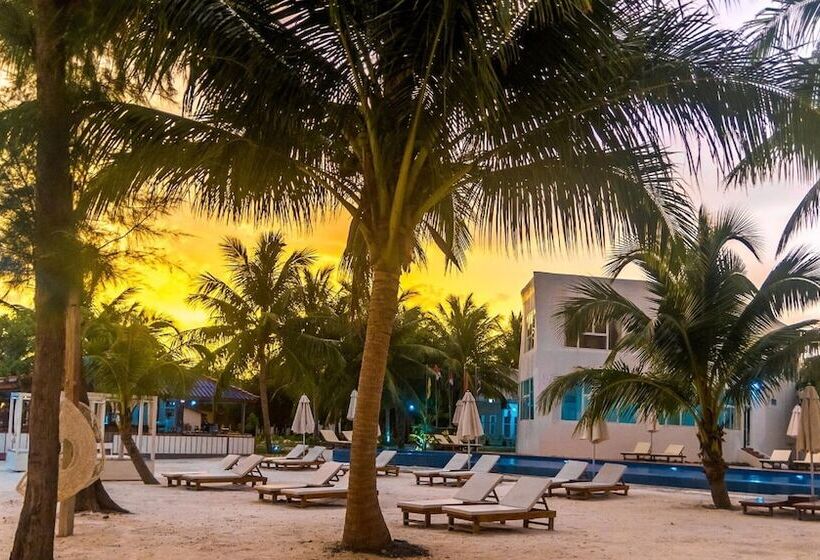 ホテル Scarlet Sails Resort