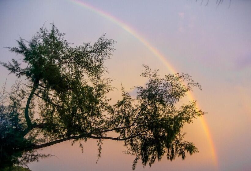 ホテル Scarlet Sails Resort