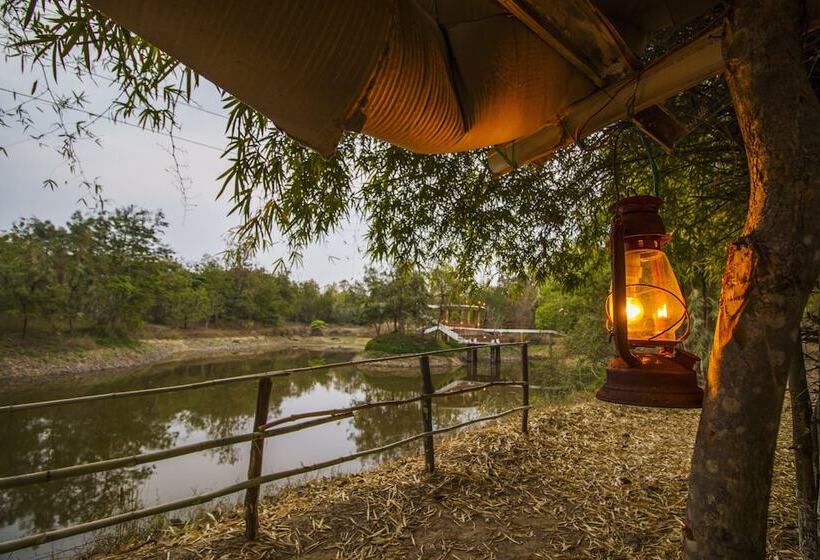 Jungle King Resort