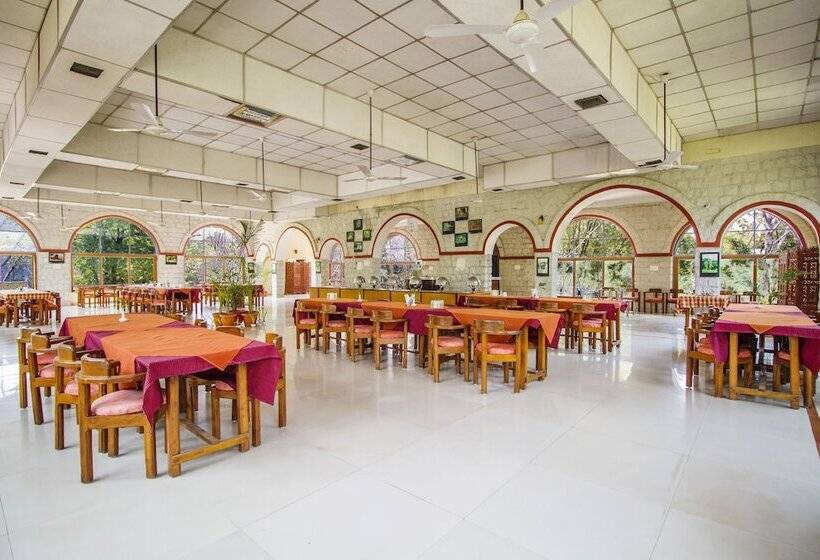 Jungle King Resort