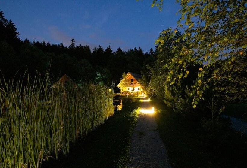 Korošec Apartments And Wellness Centre