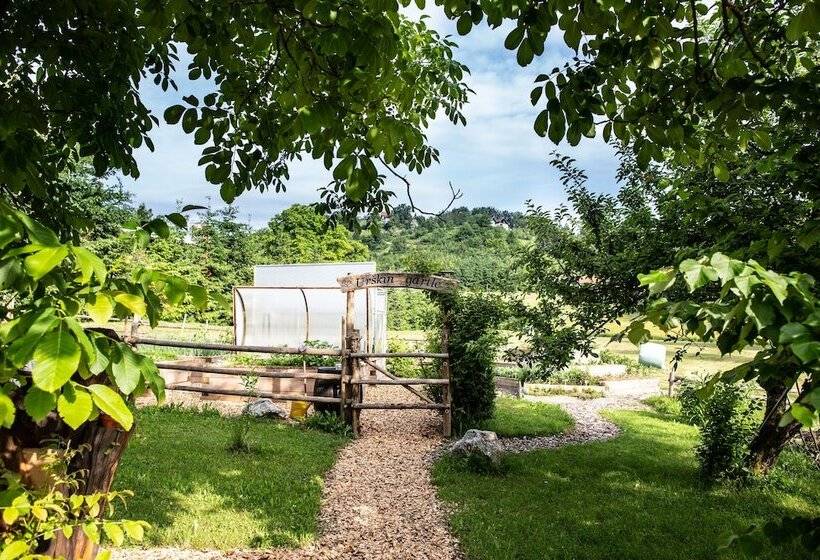 Korošec Apartments And Wellness Centre