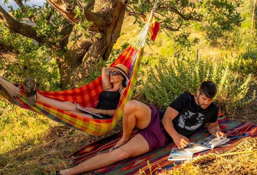 פנסיון Agrikea