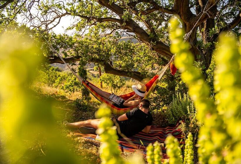 פנסיון Agrikea