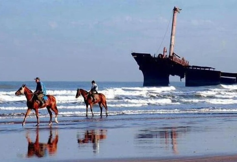 Riad Eucalyptus Vue Mer