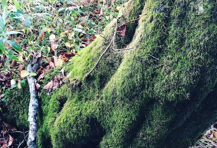 Рёкан Tabinoyado Saikawa