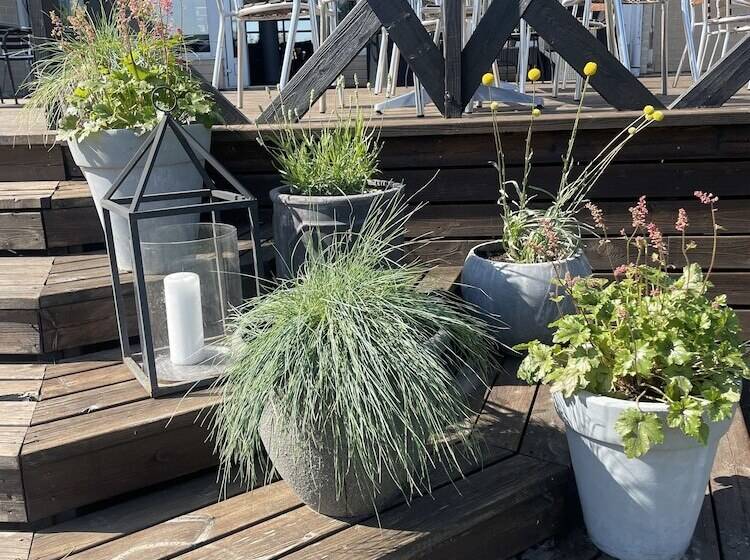 Best Western Hotel Botnia