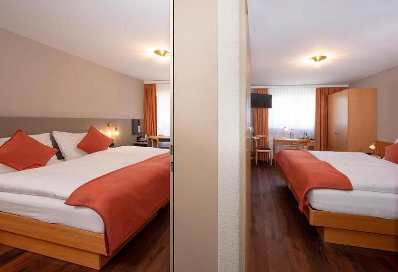 בית מלון כפרי Alex