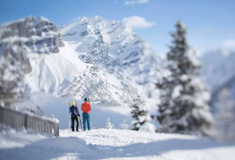 Seilers Vintage Hotel & Spa