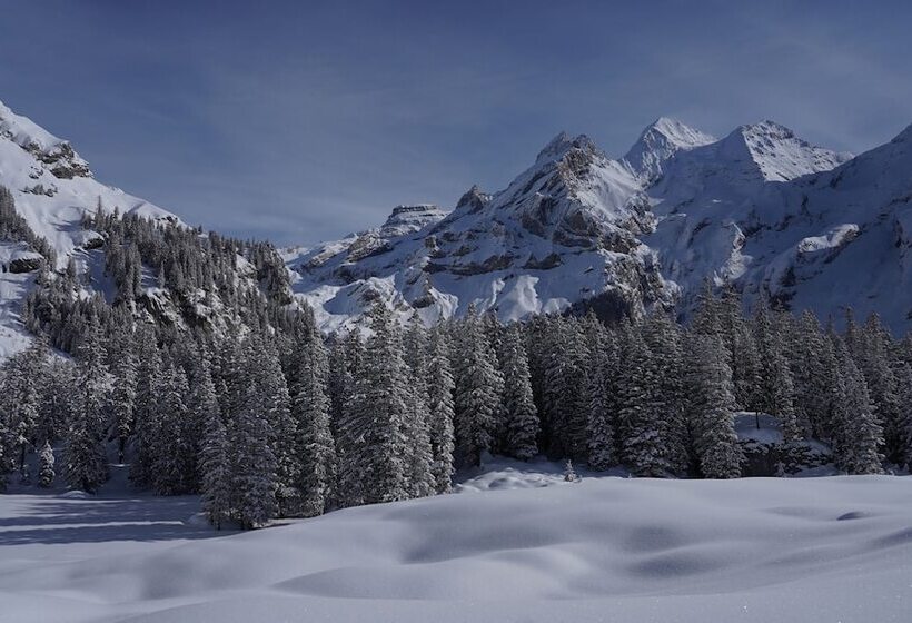 Seilers Vintage Hotel & Spa