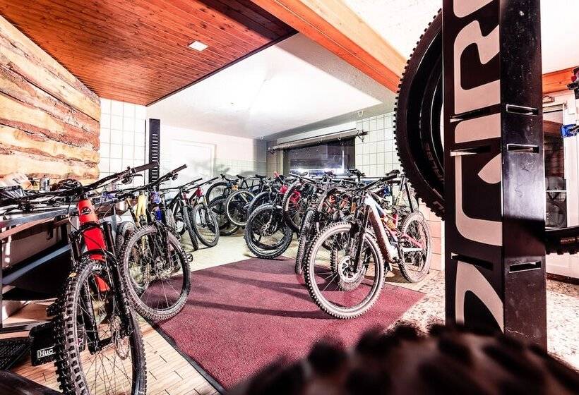 בית מלון כפרי Alpenhof