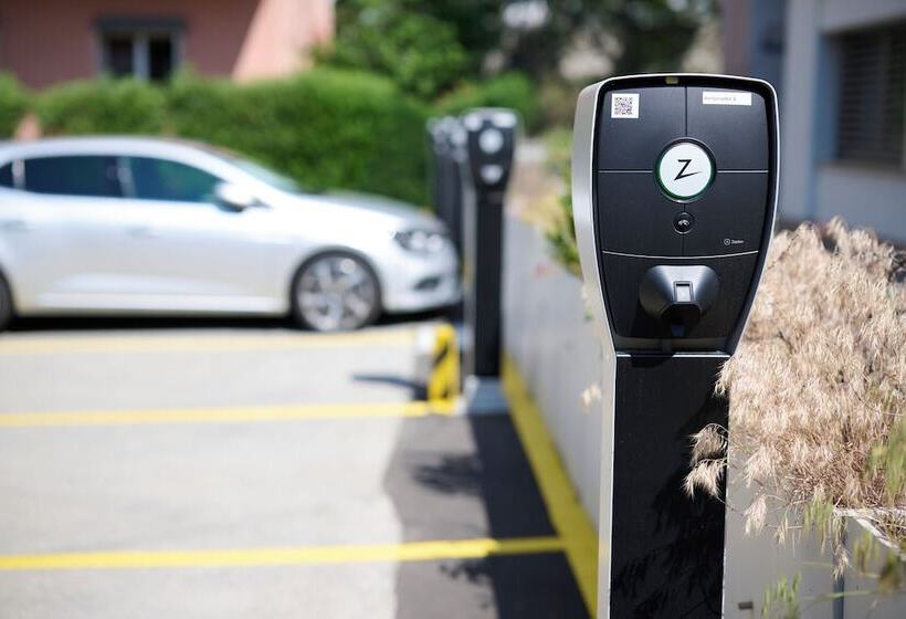 בית מלון כפרי Ambassador