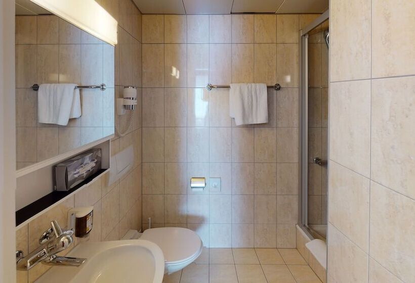 בית מלון כפרי Ambassador