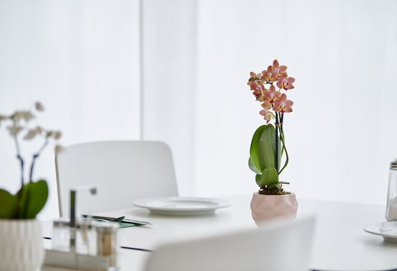 Balegra City Hotel Basel Contactless Self Check In